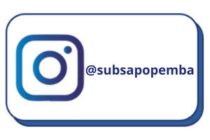 Acesse o Instagram da Subprefeitura Sapopemba