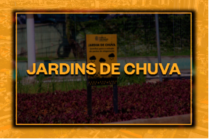 A imagem apresenta um jardim com uma placa amarela escrita Jardim de Chuva
