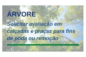 Solicitar avaliação em calçadas e praças para fins de poda ou remoção.