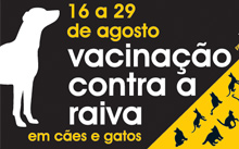 A Campanha de Vacinação Contra a Raiva em Cães e Gatos acontece de 16 a 29 de agosto, em cerca de 2 mil postos em todas as regiões da cidade