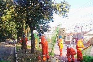 Funcionários capinando e recolhendo a grama.