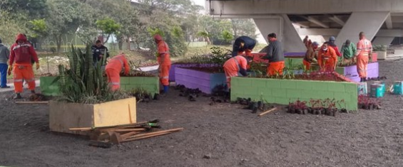 funcionários da prefeitura com uniformes laranjas mexendo em canteiros de flores que estão sendo plantadas.