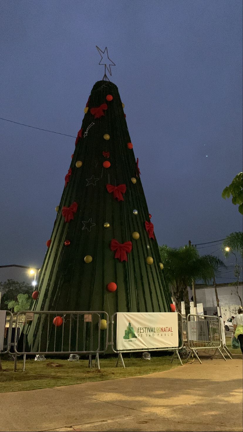Festival de Natal inaugura árvore de 15 metros na Cidade Tiradentes |  Subprefeitura Cidade Tiradentes | Prefeitura da Cidade de São Paulo