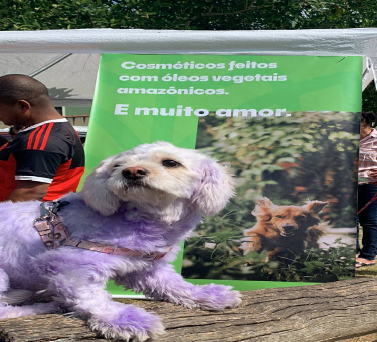 a pet Luna peluda branquinha e pequenina em frente a barraca aguardando sua vez para os cuidados e logo atrás na barraca um post informando os produtos com óleos vegetais amazônicos e orgânicos para os Pets