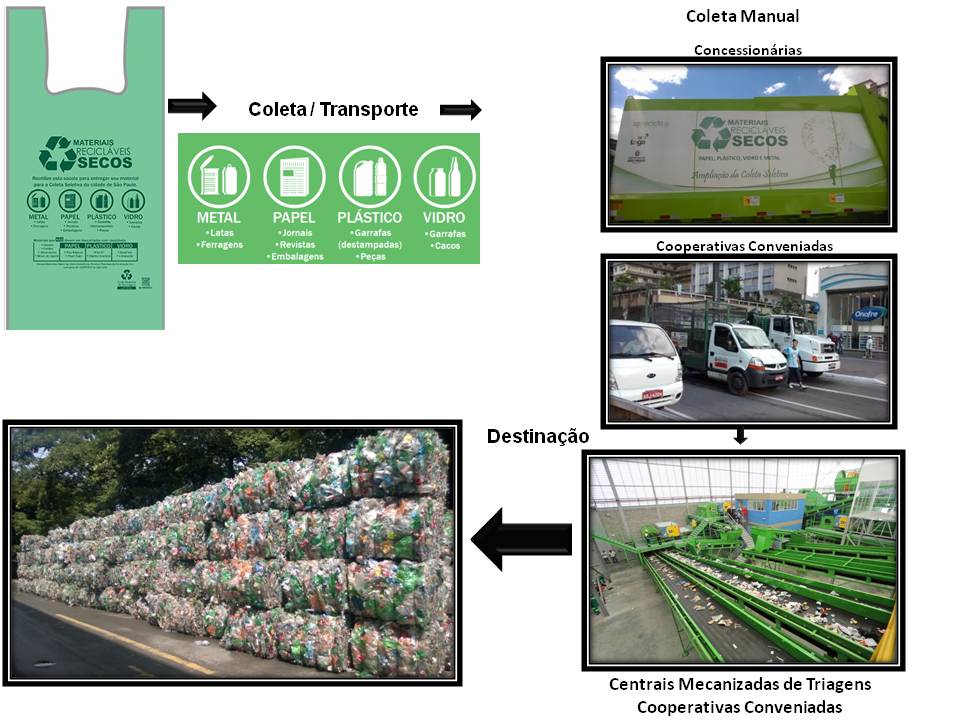 ciclo da coleta celetiva