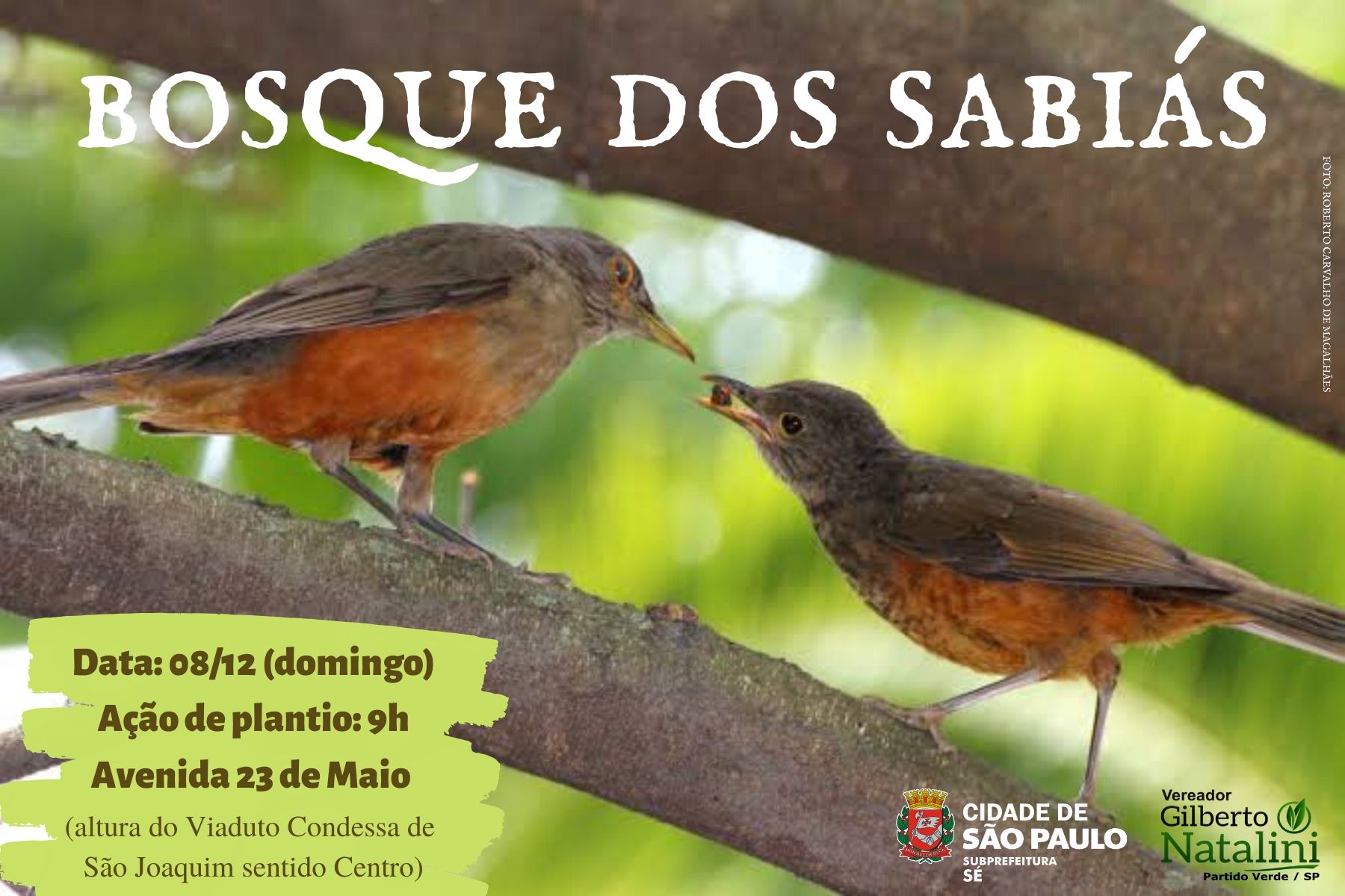 Foto de dois passarinhos sabiás e está escrito Bosque dos Sabiás. Há logotipo da Subprefeitura Sé e do vereador Gilberto Natalini