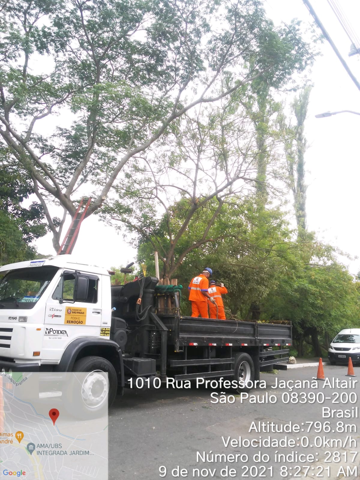 Caminhão da equipe de podas está parado, com funcionários da Prefeitura fazendo a coleta de galhos. 
