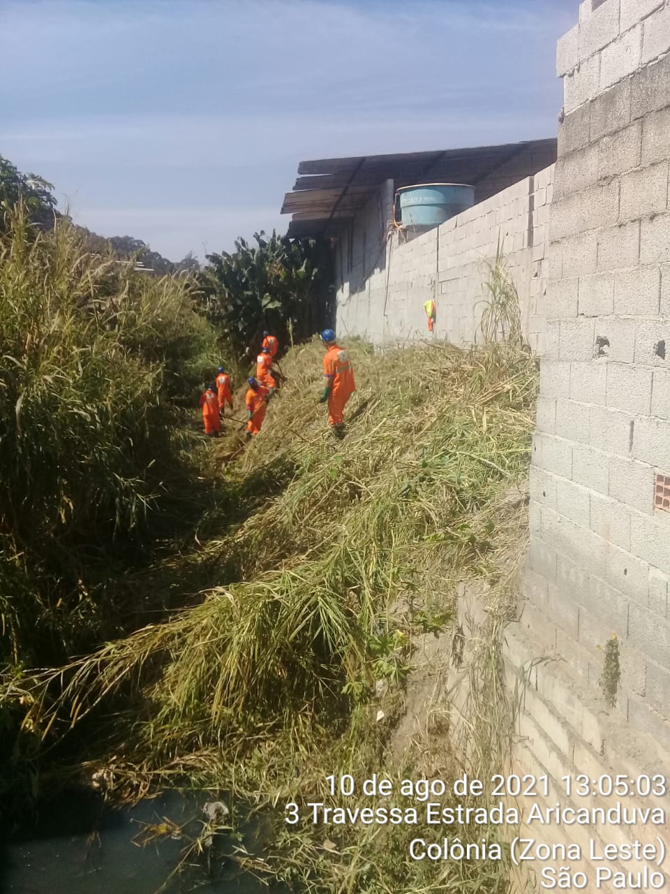 Funcionários da Prefeitura, com macacão laranja, fazem o corte manual de mato, à beira de um barranco. Acima, um muro de blocos de cimento. 
