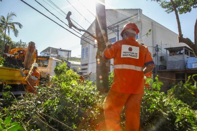 Funcionários da Prefeitura podando árvore, um caminhão com os galhos 