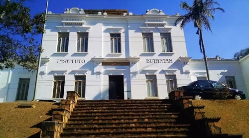 Foto da faixada do Instituto Butantan, prédio branco com visual antigo. Para acessar o prédio há uma escadaria que está enfrente ao prédio. Ao lado direito, enfrente ao prédio, há um carro sedan de cor azul estacionado. Existem duas árvores em volta do prédio do Instituto Butantan. O céu esta azul e sem nuvens na imagem.