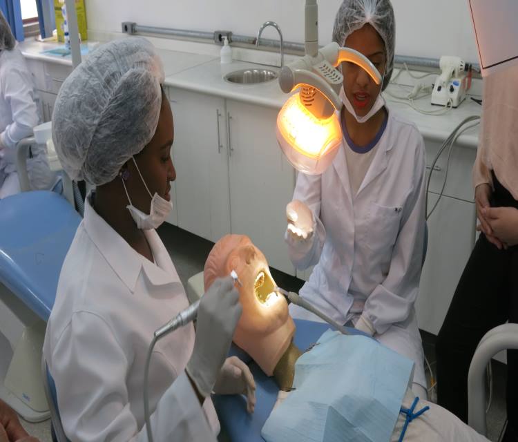 Consultorio odontologico com duas dentistas ao lado de um manequim 
