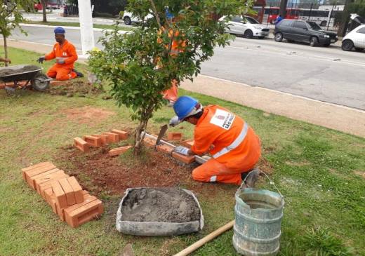 funcionários usando uniformes laranja utilizando carrinho de mão, cimento e tijolinhos fazem mureta no entorno de mudas de  árvores na praça Dona Graça 