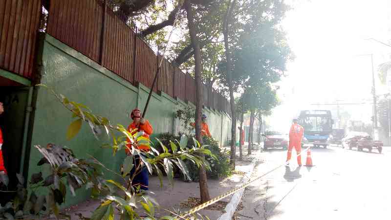 a montagem tem fotos dos funcionários da Subprefeitura Jabaquara realizando corte de grama, poda, limpeza de local, poda de limpeza e adequação, remoção de árvore nos lugares indicados.