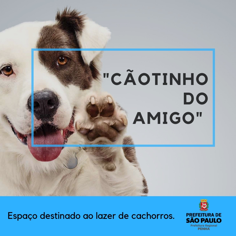 Cachorrinho branco com mancha preta no olho direito com a patinha levantada e escrito "Cãotinho do Amigo"