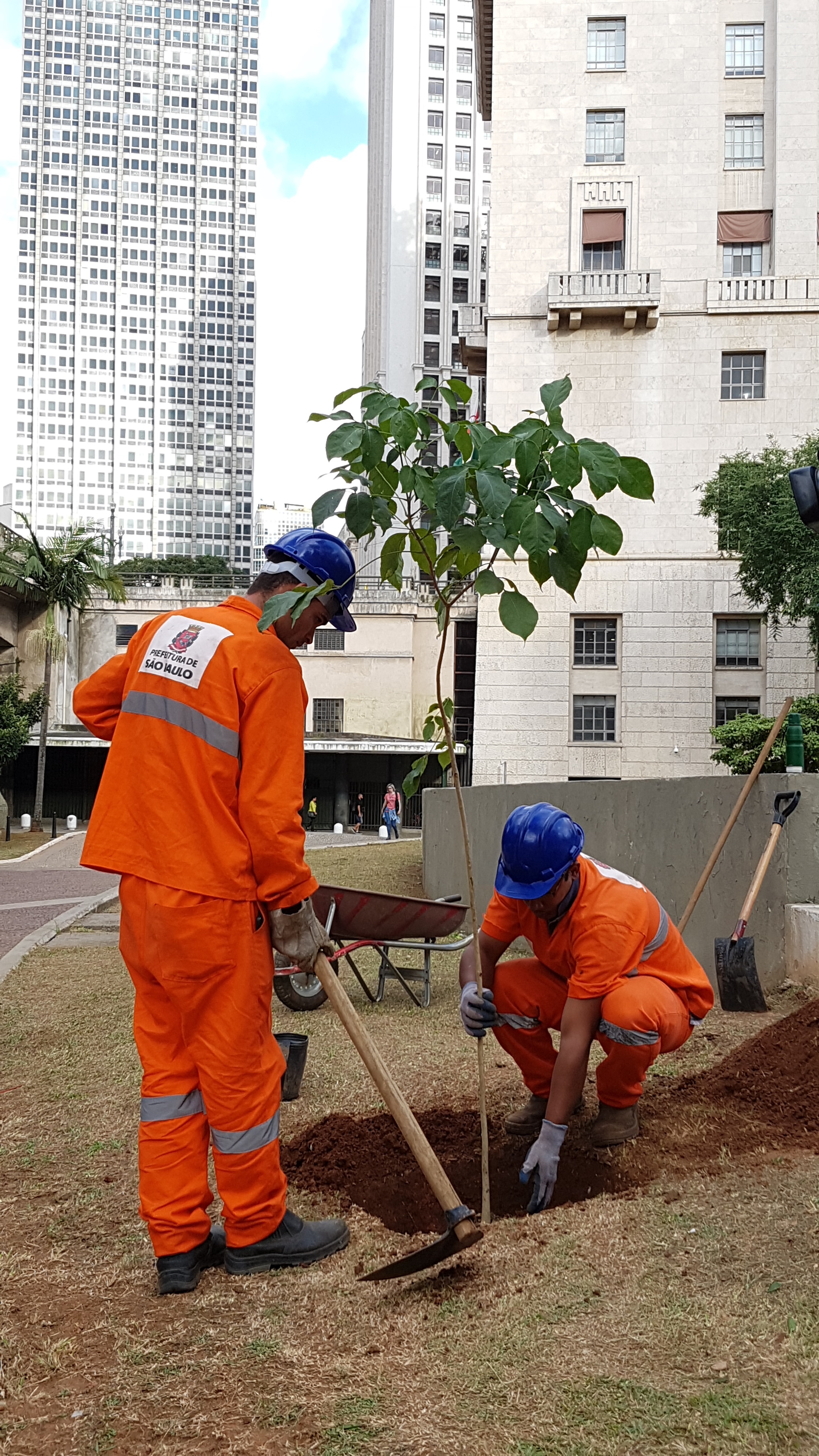 Imagem é uma fotografia colorida que mostra dois funcionários da Prefeitura realizando o plantio de uma muda no centro da cidade, em frente ao prédio da prefeitura. Os dois vestem uniforme laranja e capacete azul 