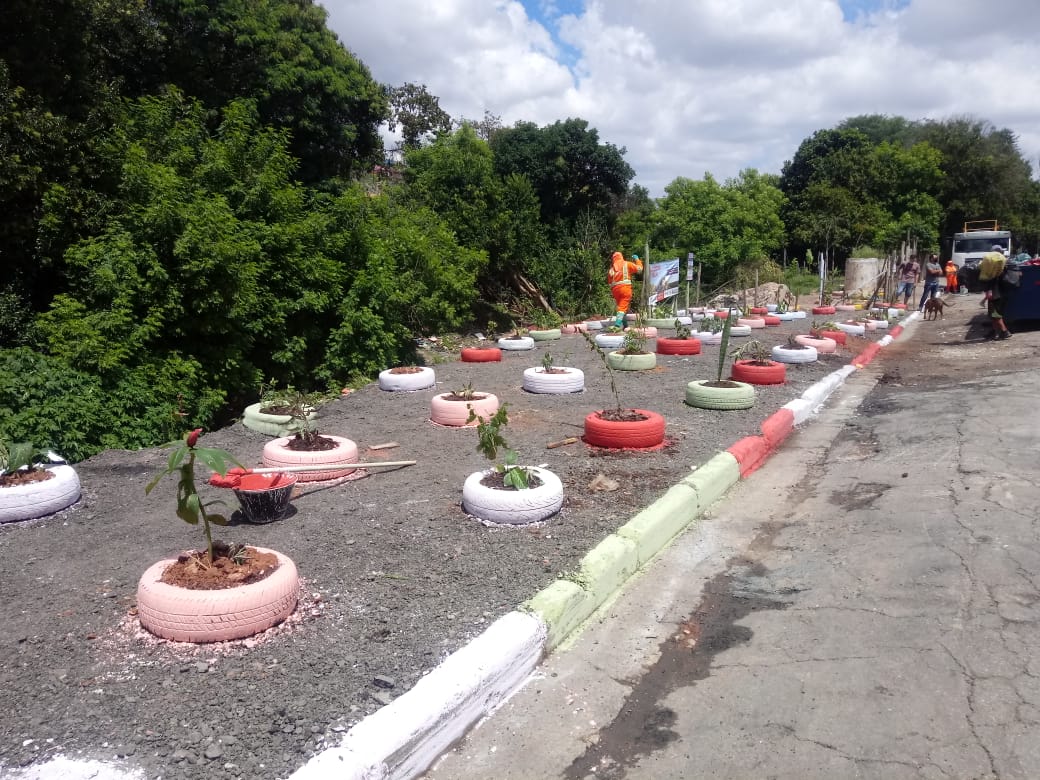 pneus coloridos colocados em cima de um piso preto, com plantas no meio. Ao fundo, árvores em todo o cenário.