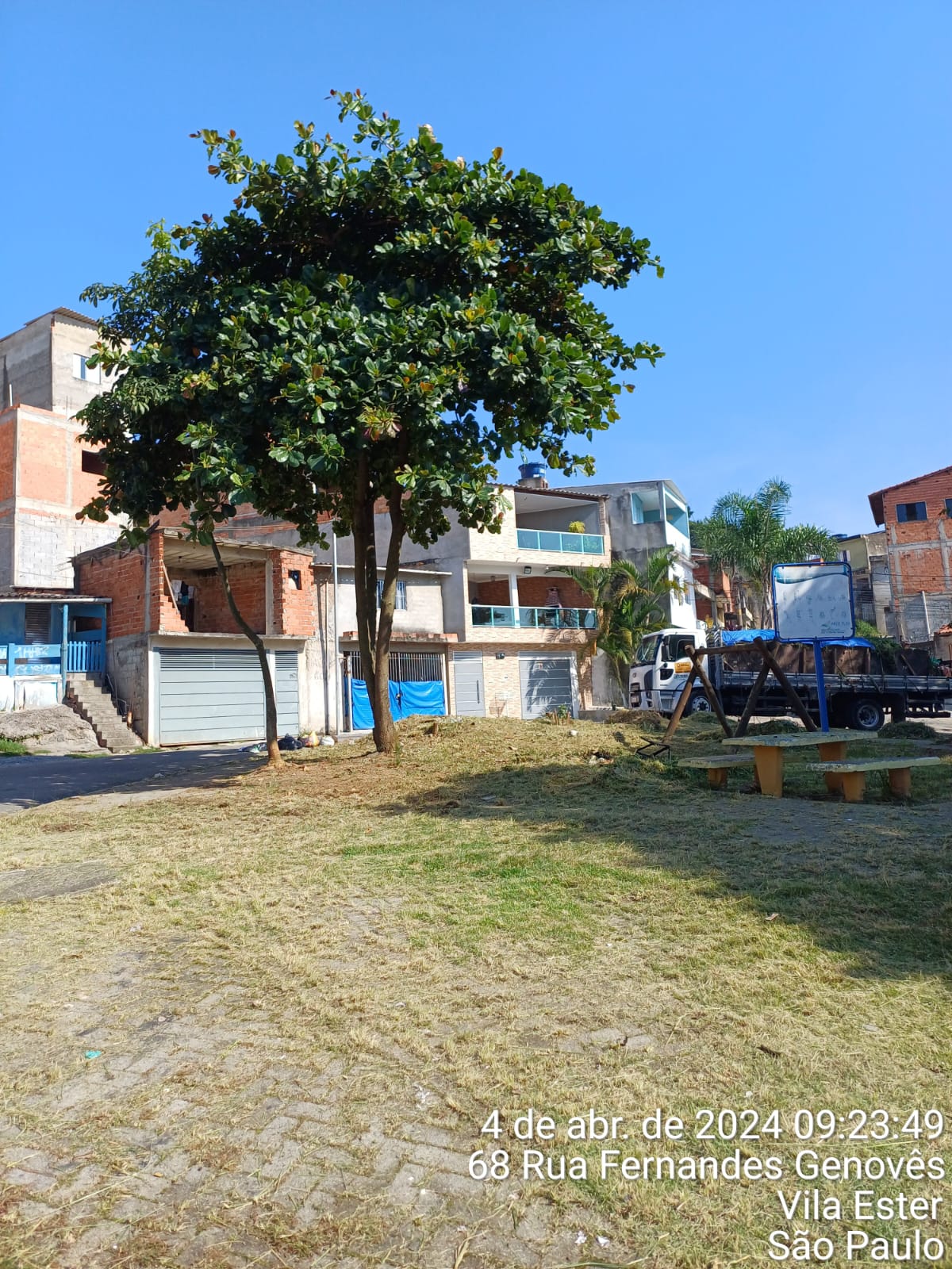 Grama aparada em uma praça, com uma árvore à frente. 