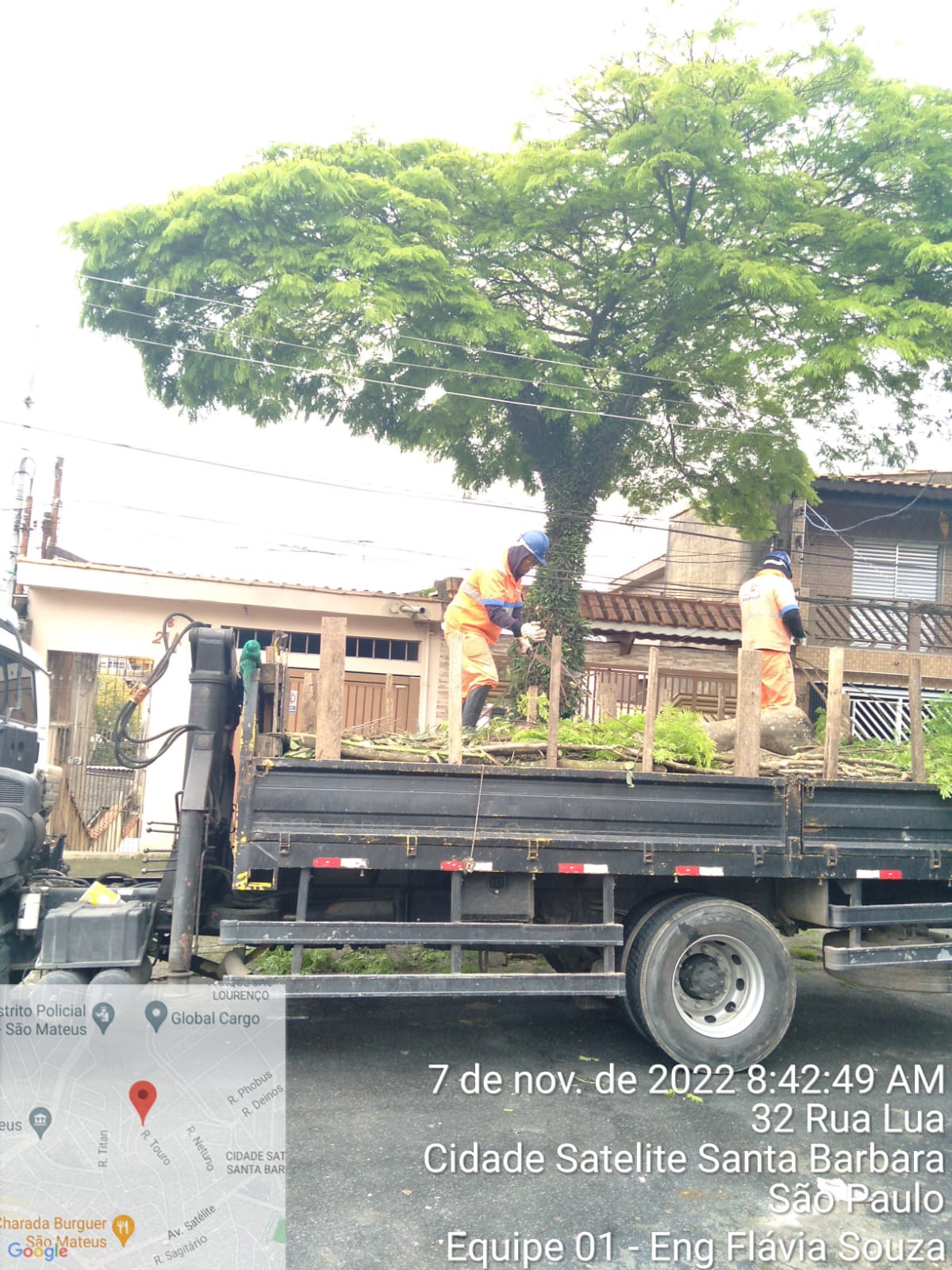 Caminhão parado em frente a uma árvore, com a copa alta. Dois funcionários municipais ajeitam a carga de galhos. 