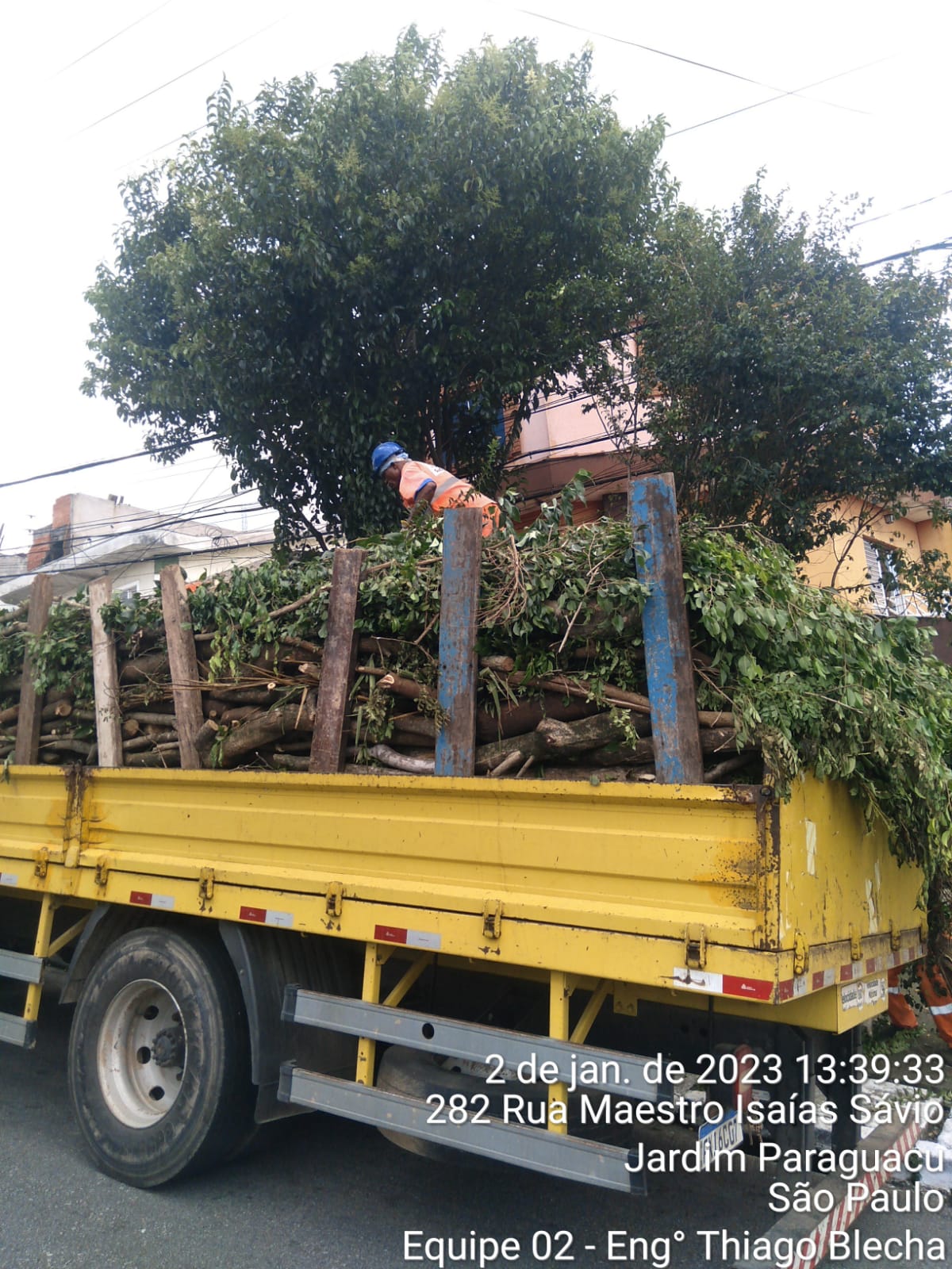 Caminhão com caçamba amarela está cheio de galhos retirados de poda de árvore em frente. Rua Maestro Isaias Sávio, Jardim Paraguaçu.Isaias