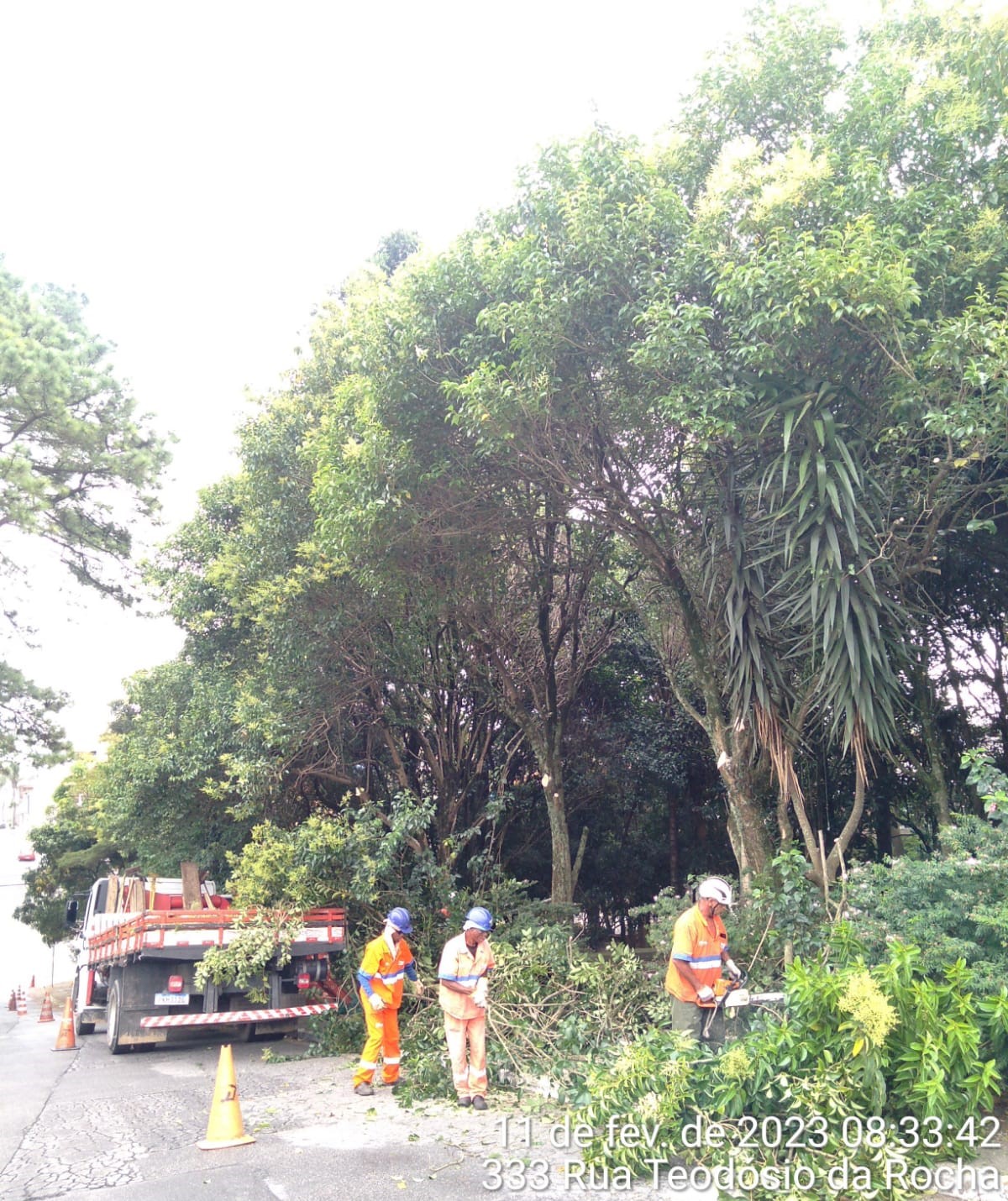 Funcionários da Prefeitura, com macacão laranja, carregam galhos cortados para cima de um caminhão