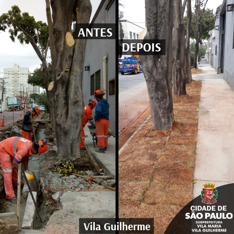 Imagem de antes e depois dividida na vertical. Na imagem da esquerda, profissionais estão reformando sarjetas e assentando guias. 5 profissionais estão atuando. Na imagem da direita, plantio de grama já realizado em volta da árvore que esta no calçamento