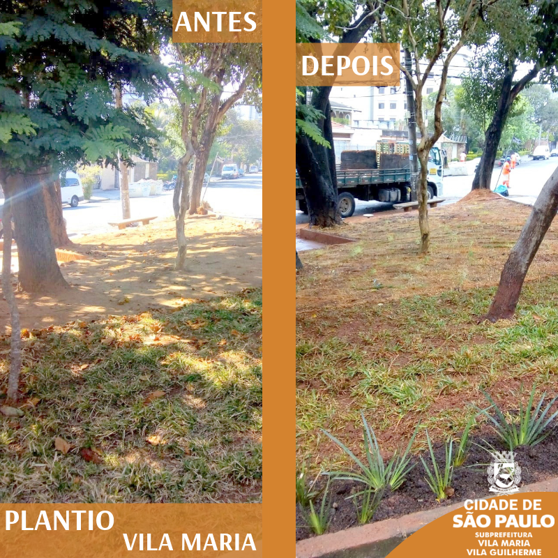 Imagem de antes e depois dividida na vertical. Na imagem da esquerda, praça sem grama e mato, na umagem da direita grama plantada