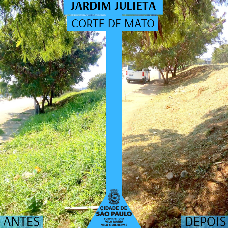 Imagem do antes e depois dividida na vertical. Na imagem da esquerda mato alto em um barranco. Há uma árvore como referência. No lado direito, o barranco já com a grama cortada. A mesma árvore serve de referência para marcar o antes e depois