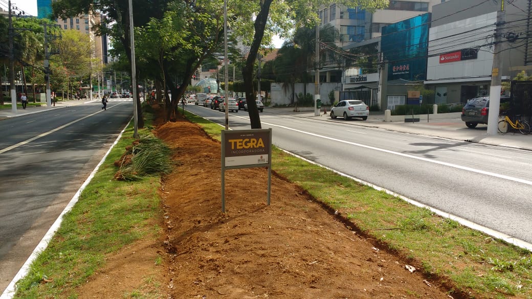 imagem do canteiro central da avenida ibirapuera com a placa da tegra