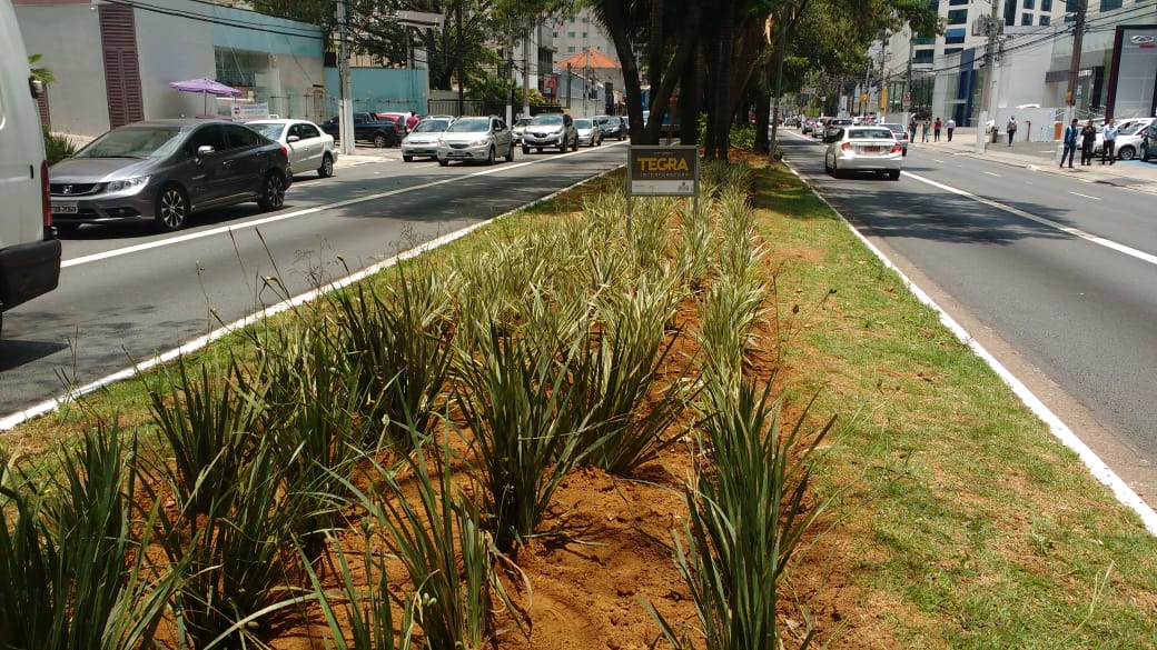 imagem do canteiro central da avenida ibirapuera com a placa da tegra