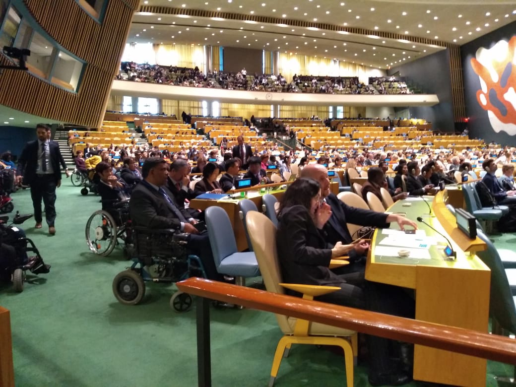 mais de cem pessoas reunidas no auditório da ONU