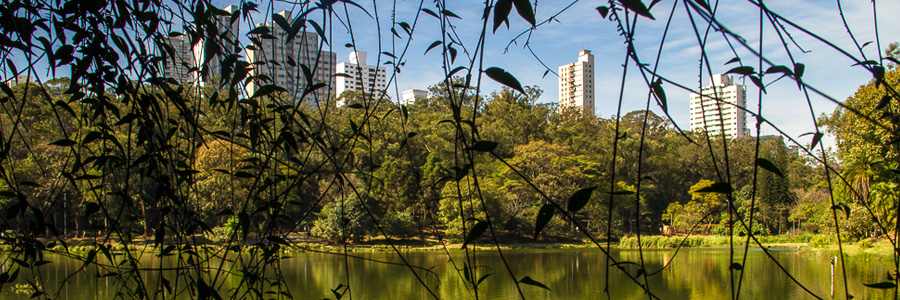 Foto do Parque da Aclimação, com lago em primeiro plano, vegetação e, ao fundo, recorte dos prédios do bairro.