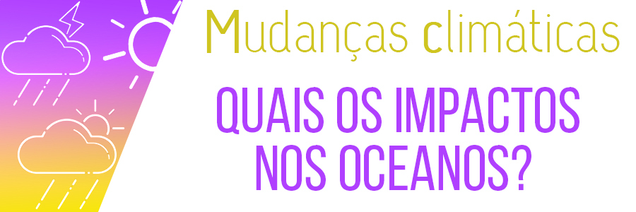 Imagem com fundo branco e a frase 