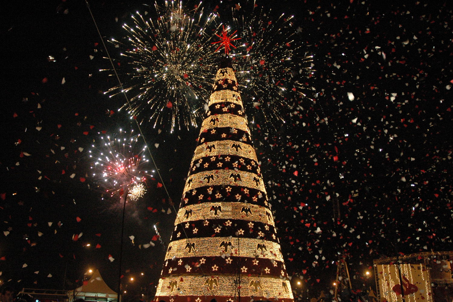 Inauguração da árvore de Natal no Ibirapuera dá início a comemorações na  cidade | Secretaria Especial de Comunicação | Prefeitura da Cidade de São  Paulo