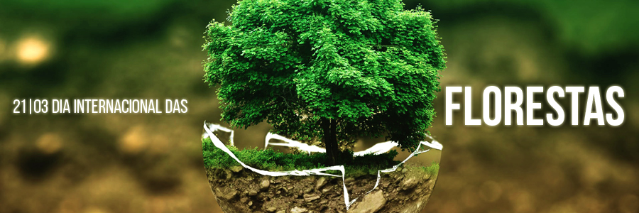 Imagem com fundo desfocado e destaque para uma árvore plantada em um globo de vidro quebrado. À esquerda e à direita, está a frase: "21/03 - Dia Internacional das Florestas".