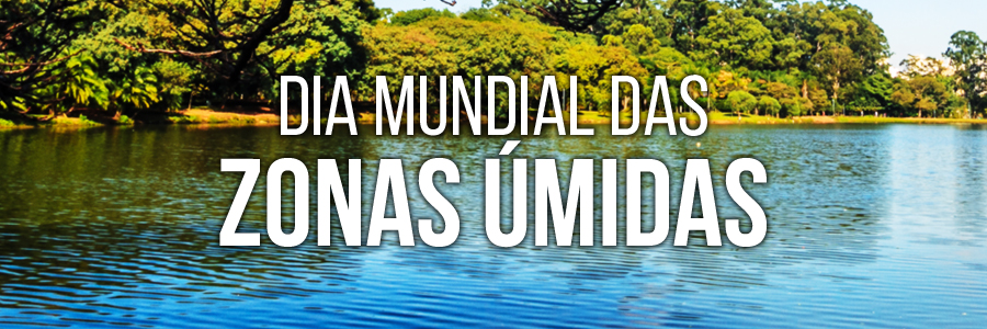 Fotografia do lago do Parque Ibirapuera em um dia ensolarado. Ao fundo, na parte superior, está a área verde repleta de árvores às margens do lago. A frase “Dia Mundial das Zonas Úmidas” está no centro da imagem, escrita em letras brancas.