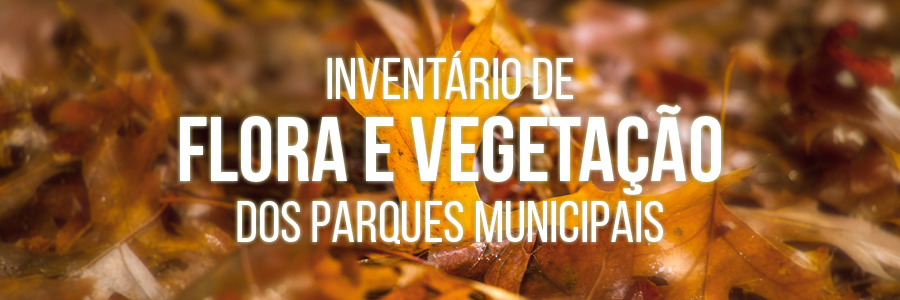 Herbário publica Inventário de Flora e Vegetação dos Parques Municipais |  Secretaria Municipal do Verde e do Meio Ambiente | Prefeitura da Cidade de  São Paulo