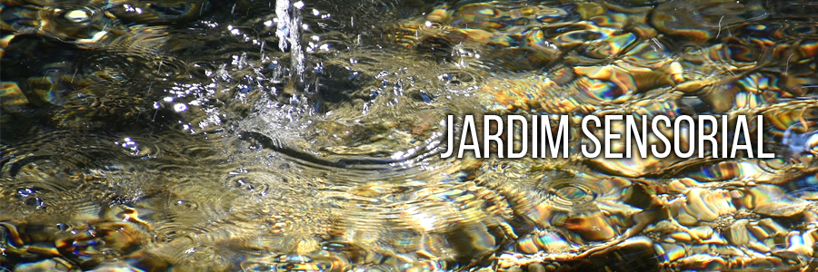 Fotografia de um lago raso com pedrinhas na cor marrom em seu fundo e águas límpidas em movimento do lado. À direita, em letras brancas, está o termo: “Jardim sensorial”.