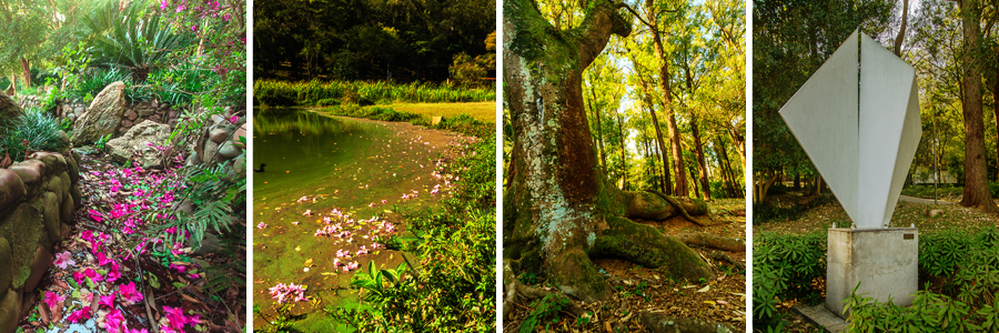 Um retângulo com quatro fotografias dentro, separadas por uma fina linha branca. A primeira foto um caminho com o chão cheio de flores cor de rosa e muro baixo de pedras, a segunda foto beira do lago com grama alta verde ao redor, a terceira foto tronco grande de árvore com parte das raízes para fora da terra, a quarta foto uma escultura retangular branca.