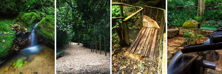 Um retângulo com quatro fotografias dentro, separadas por uma fina linha branca. A primeira foto pedras cobertas de musgo verde com uma queda d’água entre elas, a segunda foto uma trilha com banco verde na lateral esquerda e árvores ao redor, a terceira foto de ponte de madeira com folhas secas na ponta, a quarta foto de uma pequena fonte de madeira.