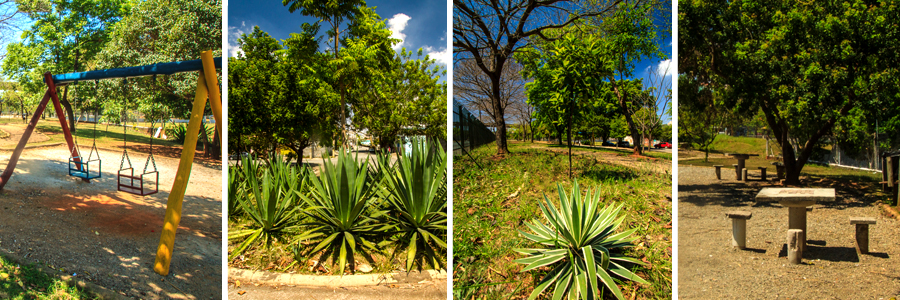 Um retângulo com quatro fotografias dentro, separadas por uma fina linha branca. A primeira foto mostra um balanço com dois assentos nas cores vermelho, azul e amarelo. A segunda, a terceira foto e a quarta foto mostram a vegetação do parque, com gramado verde, árvores com copas verdes e arbustos com folhas espetadas também em tom de verde,