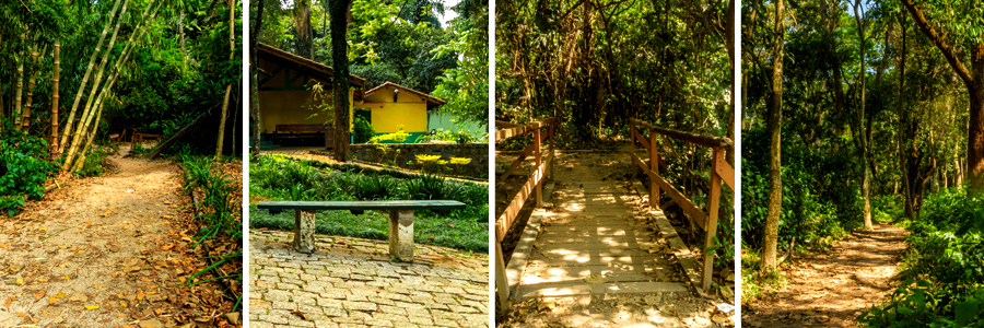 Um retângulo com quatro fotografias dentro, separadas por uma fina linha branca. A primeira foto uma trilha com folhas secas no chão e árvores com folhas bem verdes, a segunda foto um banco sobre o chão de paralelepípedo e uma parede amarela ao fundo, a terceira foto ponte de madeira com folhas secas em cima e árvores ao fundo, a quarta foto trilha de terra com arbustos cheios de folhas verdes ao redor.