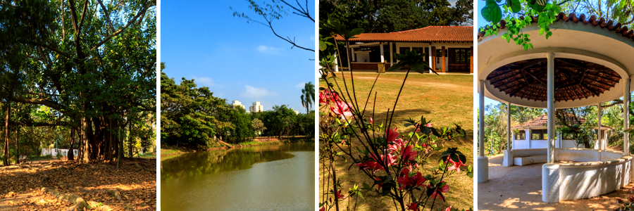 Um retângulo com quatro fotografias dentro, separadas por uma fina linha branca. A primeira foto uma árvore grande, a segunda foto lago com árvores ao fundo, a terceira foto flores cor de rosa com uma casa ao fundo, a quarta foto quiosque com telhas marrons com banco e pilastras brancas.