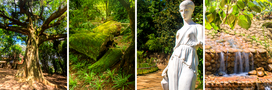 Um retângulo com quatro fotografias dentro, separadas por uma fina linha branca. A primeira foto árvore com tronco grande e galhos finos com folhas verdes, a segunda foto partes de troncos de árvores caídos sobre a grama cobertos de musgo verde, a terceira foto uma estatua de uma mulher segurando um jarro, a quarta foto queda d’água sobre as pedras com grama ao redor.