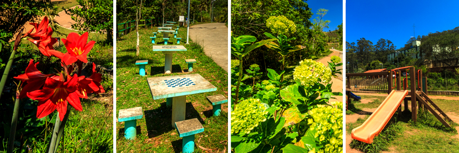 Um retângulo com quatro fotografias dentro, separadas por uma fina linha branca. A primeira foto flores vermelhas, a segunda foto mesa de concreto com azulejos formando um tabuleiro de xadrez no centro, a terceira foto pequenas flores verdes, a quarta foto parquinho sobre a grama e a terra.