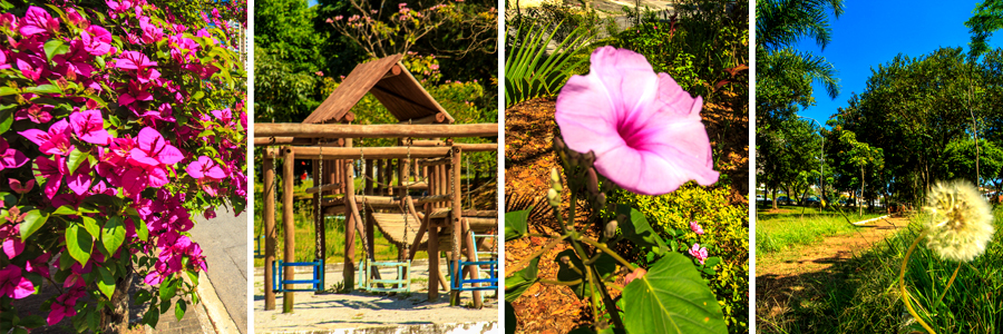 Um retângulo com quatro fotografias dentro, separadas por uma fina linha branca. A primeira foto pequenas flores em tom de rosa, a segunda foto do parquinho, a terceira foto de uma flor em tom de rosa, a quarta foto grama verde alta com um dente-de-leão branco, com árvores ao fundo.