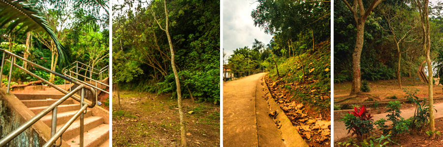 Um retângulo com quatro fotografias dentro, separadas por uma fina linha branca. A primeira foto das escadas com corrimão prateados e árvores com folhagem verde ao fundo, a segunda foto de uma parede feita de terra, folhas verdes e árvores, a terceira foto da curva da ladeira com grama verde e folhas secas na lateral, a quarta foto um caminho de terra com folhas secas e arbusto verde com uma flor vermelha.