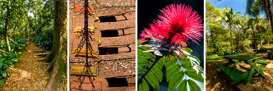 Um retângulo com quatro fotografias dentro, separadas por uma fina linha branca. A primeira foto de uma trilha com folhas secas no chão e arbustos verdes em volta, a segunda foto de cadeira de balanços amarelas, a terceira foto de duas flores vermelhas, a quarta foto de uma mesa com dois bancos de madeira na cor verde. 