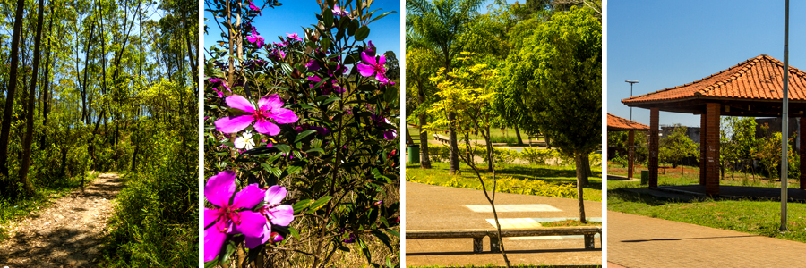 Um retângulo com quatro fotografias dentro, separadas por uma fina linha branca. A primeira foto trilha com muitas árvores ao redor, a segunda foto flores em tom de rosa com folhas verdes, a terceira foto banco de concreto com árvores cheias de folhas verdes ao fundo, a quarta foto quiosque sobre a grama verde.