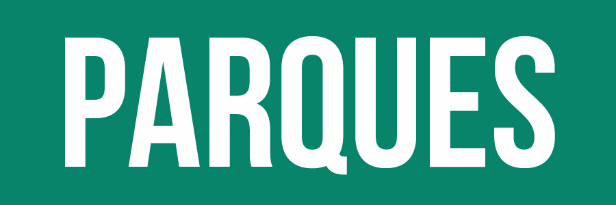 Imagem com fundo verde. Ao centro, em letras brancas, está a palavra: 