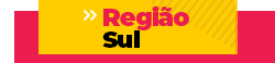 PraCegoVer: banner com fundo rosa e caixa em amarelo com o texto Região Sul